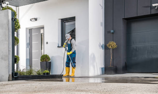 Best Patio and Deck Pressure Washing  in Driggs, ID